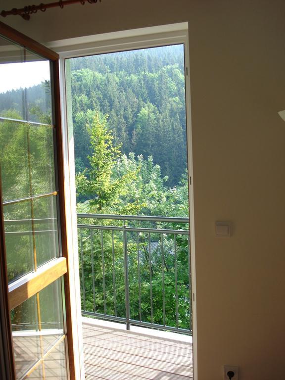 Horske Apartmany Jeseniky Malá Morávka Pokój zdjęcie